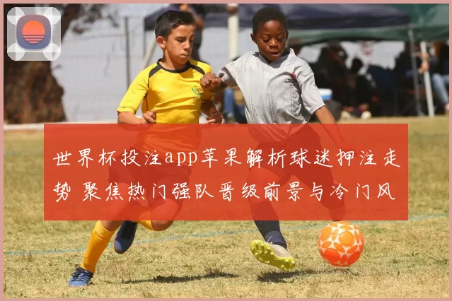 世界杯投注app苹果解析球迷押注走势 聚焦热门强队晋级前景与冷门风险