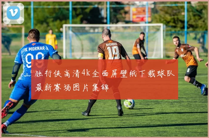 独行侠高清4k全面屏壁纸下载球队最新赛场图片集锦