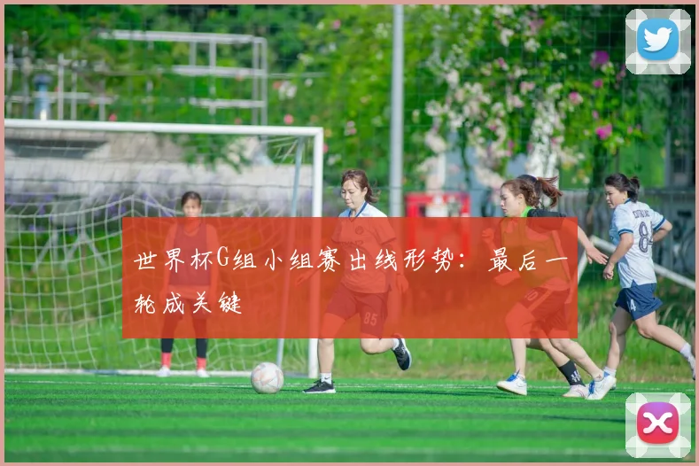 世界杯G组小组赛出线形势:最后一轮成关键