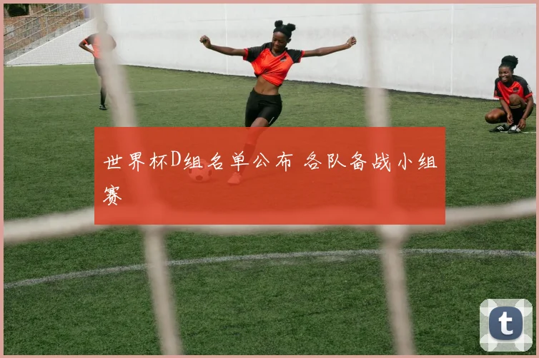 世界杯D组名单公布 各队备战小组赛