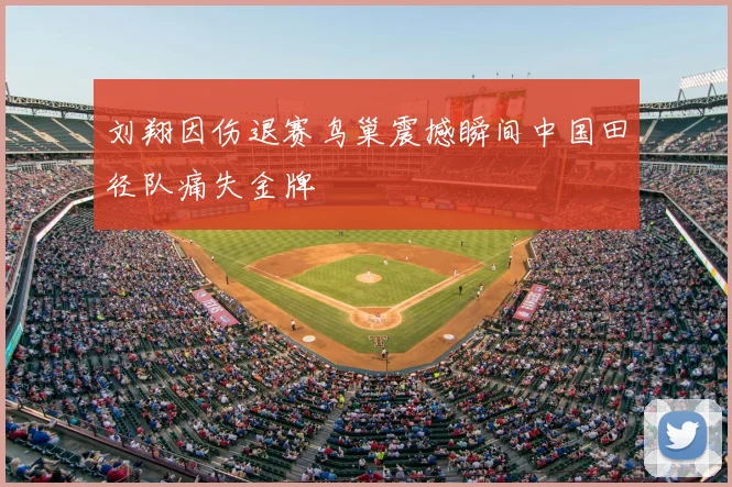 刘翔因伤退赛鸟巢震撼瞬间中国田径队痛失金牌