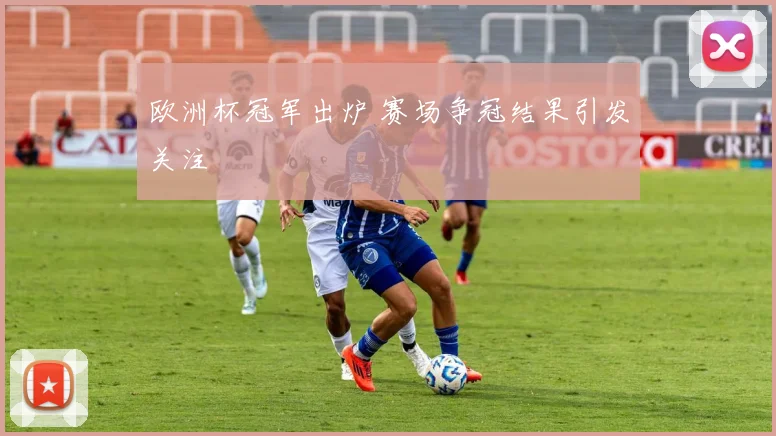 欧洲杯冠军出炉 赛场争冠结果引发关注