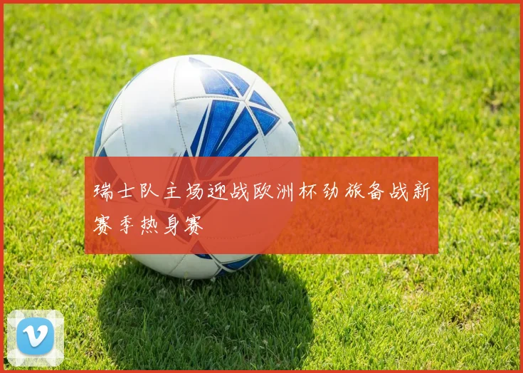 瑞士队主场迎战欧洲杯劲旅备战新赛季热身赛