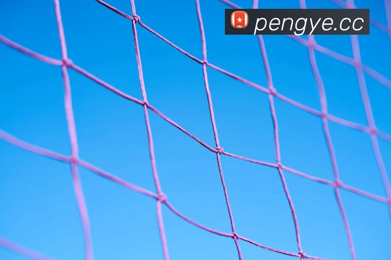 星空官方站网站 - 星空(中国)服务体系